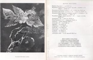 Reich Károly kiállítása a Miskolci Városi Könyvtár József Attila Könyvtárában 1971. november 5. - 19...