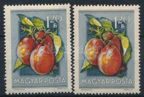 1954 Gyümölcsök (I.) 1,20Ft a piros szín felfelé tolódott + támpéldány
