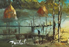 Finta László (1944-): Erdélyi tanya. Olaj, farost, jelzett. Dekoratív fakeretben, 20×40 cm