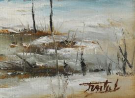 Finta László (1944-): Téli tanya. Olaj, farost, jelzett. Dekoratív fakeretben, 20×40 cm