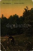 Misztótfalu, Tautii de Jos (Miszmogyorós, Tautii-Magheraus); Parkrészlet a sósfürdőben. Frankovits A. kiadása / park in the salt spa (EM)