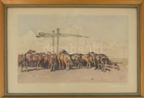 Benyovszky István (1898-1969): Itatás. Színezett rézkarc, papír, jelzett. Üvegezett fakeretben, 31x49 cm