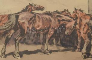 Benyovszky István (1898-1969): Itatás. Színezett rézkarc, papír, jelzett. Üvegezett fakeretben, 31x4...