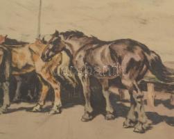 Benyovszky István (1898-1969): Itatás. Színezett rézkarc, papír, jelzett. Üvegezett fakeretben, 31x4...