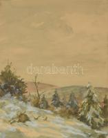 Paczolay Imre (1908-1978): Téli táj. Akvarell, papír, jelzett. Dekoratív, üvegezett fakeretben, 29,5×21 cm