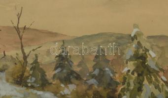 Paczolay Imre (1908-1978): Téli táj. Akvarell, papír, jelzett. Dekoratív, üvegezett fakeretben, 29,5...