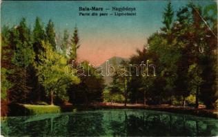 Nagybánya, Baia Mare; Parte din parc / Széchenyi liget részlet / park (Rb)