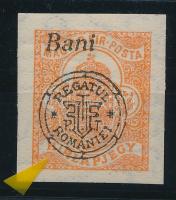 Nagyvárad 1919 Hírlapbélyeg "hurkás kör" lemezhibával, Bodor vizsgálójellel