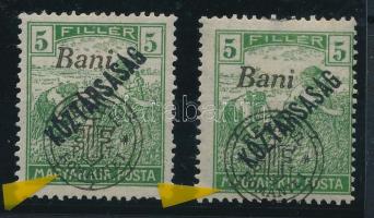 Nagyvárad 1919 Arató 5f 2 db bélyeg "hurkás kör" lemezhibával, Bodor vizsgálójellel