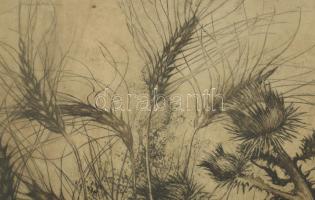 Hertay Mária (1932-2018): A búza. Rézkarc, papír, jelzett, üvegezett fakeretben, hátoldali üveg repe...