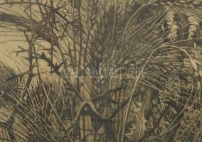 Hertay Mária (1932-2018): A búza. Rézkarc, papír, jelzett, üvegezett fakeretben, hátoldali üveg repe...