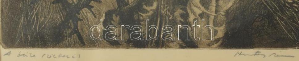 Hertay Mária (1932-2018): A búza. Rézkarc, papír, jelzett, üvegezett fakeretben, hátoldali üveg repe...