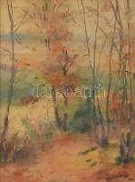 Králik Andor (1908-1981): Lombhullás. Akvarell, papír, jelzett. Üvegezett, kissé sérült fakeretben, 42×32 cm