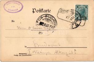 1902 Spital am Semmering (Steiermark), Schutzhaus am Stuhleck / chalet, tourist house (surface damag...