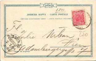 1899 Beograd, Belgrade, Belgrád; V. Valozic Buchhandlung Art Nouveau, floral, litho (EB)