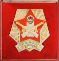 Hollóházi porcelán BM Határőrség plakett. Kézzel festett, jelzett, hibátlan, 16x16 cm, dobozában.