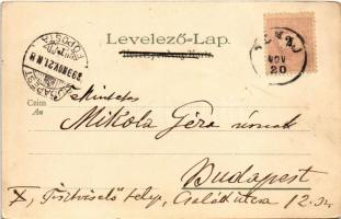 1899 Frankfurt am Main, quay. Kunstanstalt Kosmos 39. litho (EB)