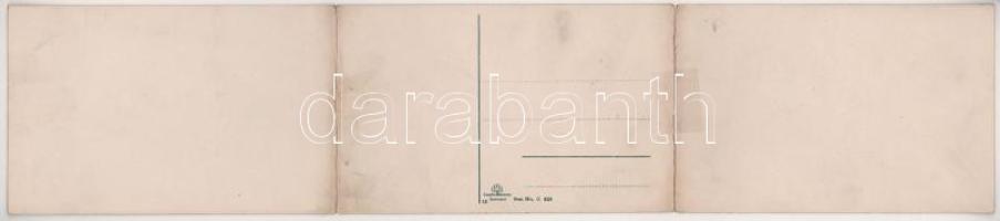 Der Rhein. Siebengebirge / map, steamship. 3-tiled folding panoramacard (bent til broken)