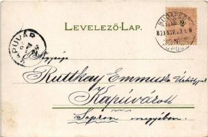 1899 Üdvözlet / greeting art postcard with ladybugs and clover. Art Nouveau, floral, litho (EK)