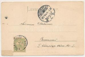 1902 Gyulafehérvár, Karlsburg, Alba Iulia; Alsó Károly kapu. Petri F. Vilmos kiadása / Unteres Karls...