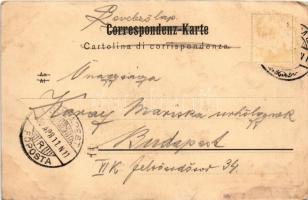 1900 Fiume, Rijeka; Generalansicht / general view. Verlag F. A. Schnautz (gyűrődések / creases)