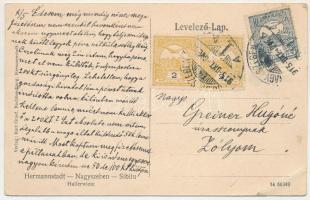 1915 Nagyszeben, Hermannstadt, Sibiu; Hallerwiese / Haller rét, villák. Karl Graef kiadása / street,...