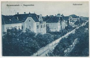 1916 Nagyszeben, Hermannstadt, Sibiu; Hallerwiese / Haller rét, villák. Heinrich Connerth kiadása / street, villas (EK)