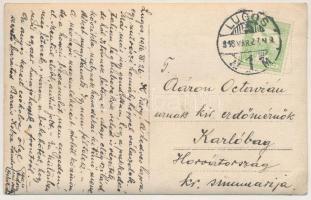 1916 Lugos, Lugoj; kiránduló társaság / group. photo (EK)