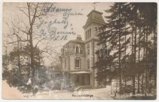1915 Resicabánya, Resicza, Recita, Resita; Igazgatósági villa. Weisz Adolf kiadása / directions villa (felületi sérülés / surface damage)