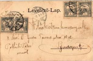 1900 Vörösmarty Mihály 100 éves születésének emlékére. Kaufmann F. kiadása (fl)