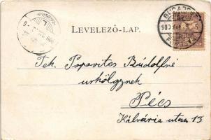 1900 Budapest II. Lukács és Császár fürdő, rakpart. Kiadja Schmidt Edgar (fa)