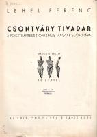 Lehel Ferenc: 
Csontváry Tivadar a posztimpresszionizmus előfutára. Második vázlat 70 képpel. (Majo...