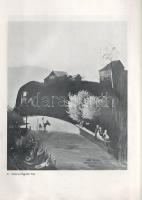 Lehel Ferenc: 
Csontváry Tivadar a posztimpresszionizmus előfutára. Második vázlat 70 képpel. (Majo...