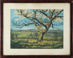 Velten Armand (1890-1974): Gödöllő környéki dombok, 1930-40 körül. Tempera, papír. Jelezve jobbra lent. Üvegezett, kissé kopott fakeretben. 26x35 cm