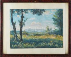 Velten Armand (1890-1974): Gödöllői dombság, 1952. Tempera, papír. Jelezve jobbra lent. Üvegezett, k...