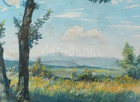 Velten Armand (1890-1974): Gödöllői dombság, 1952. Tempera, papír. Jelezve jobbra lent. Üvegezett, k...