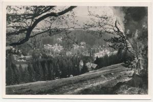 Borszék, Borsec; Részletes látkép. Heiter György udvari fényképész felvétele és kiadása / view