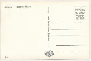 Borszék, Borsec; Részletes látkép. Heiter György udvari fényképész felvétele és kiadása / view