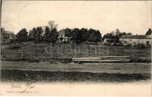 1910 Neuhof (Pándorfalu, Parndorf); Verlag F. Ferbus (EK)