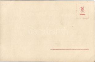 Torino, Turin; Villino Küper Tesoriera / villa. photo