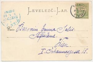 1902 Prilesz, Príles (Hőlak, Trencianska Teplá); kastély. Stengel &amp; Co. / castle (EK)