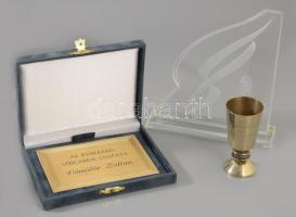 Dömötör Zoltán (1939-2015) olimpiai bajnok vízilabdázó 3 db sport díja: 1963 Universiade - Porto Alegre gravírozott fém kupa 9 cm, MOB díj, 18 cm, "Az évszázad vízilabda csapata" plakett.