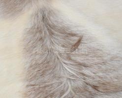 3 db kikészített kecskebőr, hibátlan 80 cm