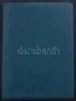 Közepes gyűrűs borakó kb 60 db egy oldalas berakólappal, benne magyar anyag, főleg a 70-es, 80-as év...