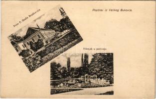 1914 Velika Bukovica, Dvor P. Grofa Draskovica, Ribnjak u perivoju / castle, park