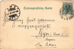 1905 Ceské Budejovice, Budweis; view, montage with love couple and baby. Art Nouveau, floral (EK)