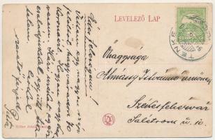 1913 Tenke, Tinca; utcarészletek. Ritter Jakab kiadása / street views (fl)