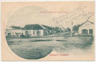 1901 Tenke, Tinca; Fő tér, Ferenc József utca, vasraktár, Rosenfeld Lajos boltja, Lévy Dávid üzlete és saját kiadása / main square, street, shops (fl)