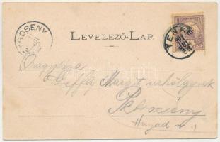 1901 Tenke, Tinca; Fő tér, Ferenc József utca, vasraktár, Rosenfeld Lajos boltja, Lévy Dávid üzlete ...