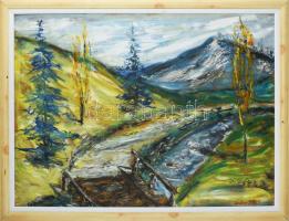 Gruber jelzéssel: Erdélyi táj. Olaj, farost. Keretben. 60x80 cm
